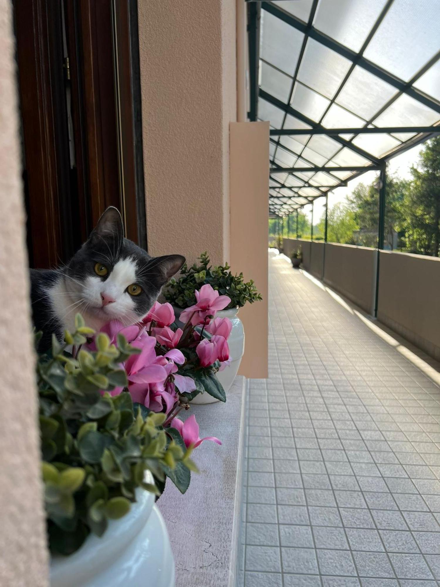 Appartamento Sangiuliano Mestre Esterno foto